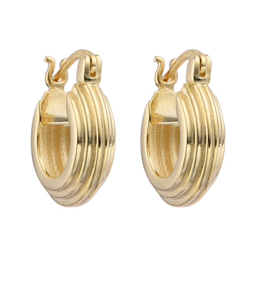 HOOPS DELFINA